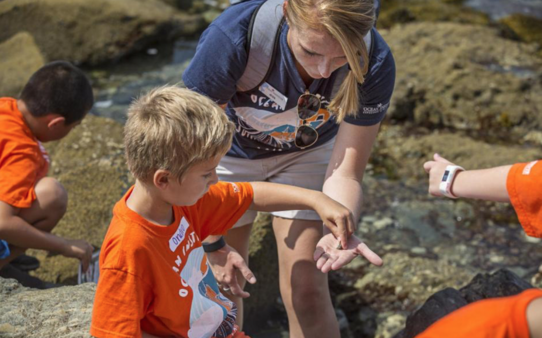 A Story Written in Stone: Harbor Geology Tour