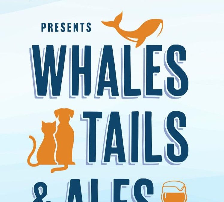 Whales, Tails & Ales Street Fair – Festival of Whales Event