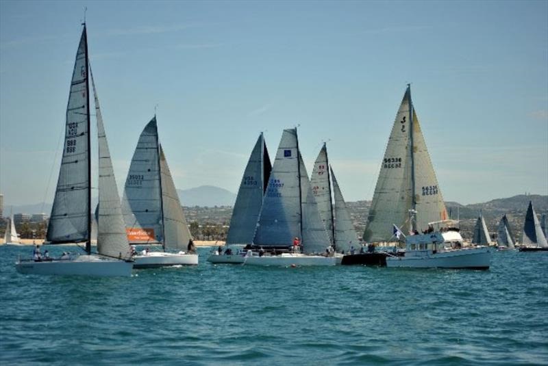 dana point yacht club racing