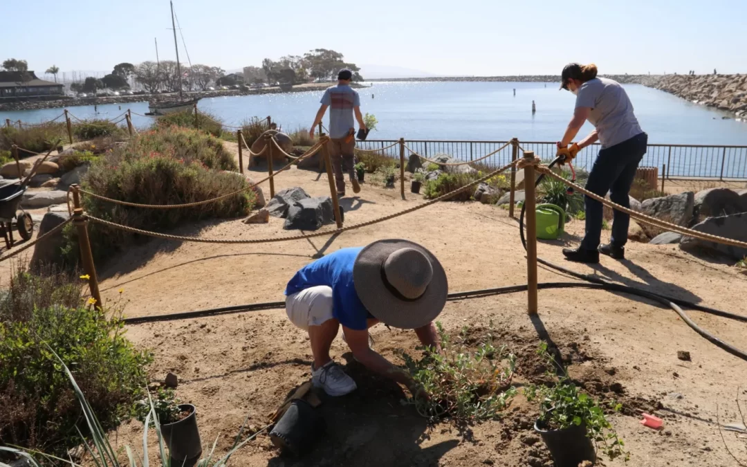 Earth Day Native Planting Project