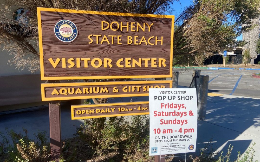 Volunteer Open House at Doheny SB