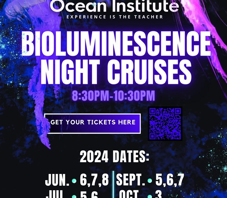 Bioluminescence Night Cruise (October 3)