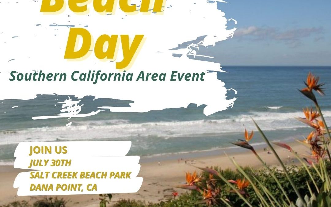 Abide Dana Point Beach Day