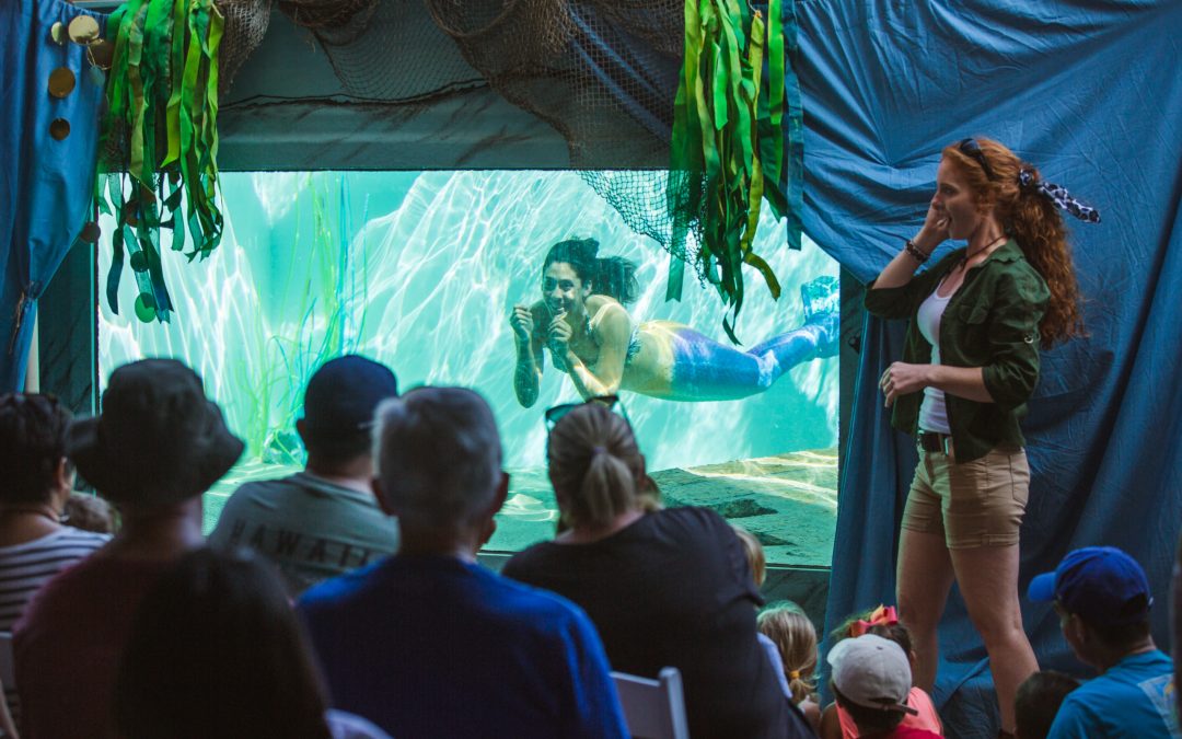 Mermaid Grotto: Meet and Greet (Sat and Sun)