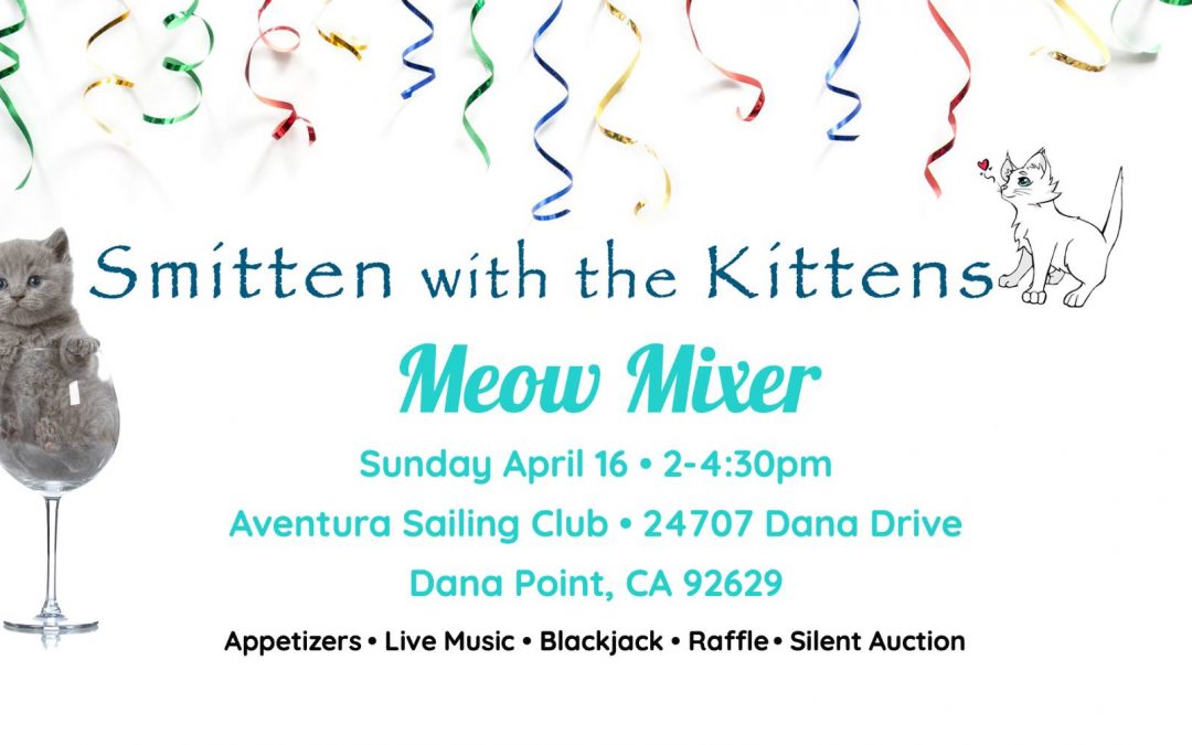 Meow Mixer at Aventura Sailing Association