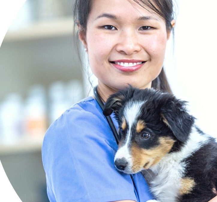 Low-Cost Pet Vaccine @ DP Recreation