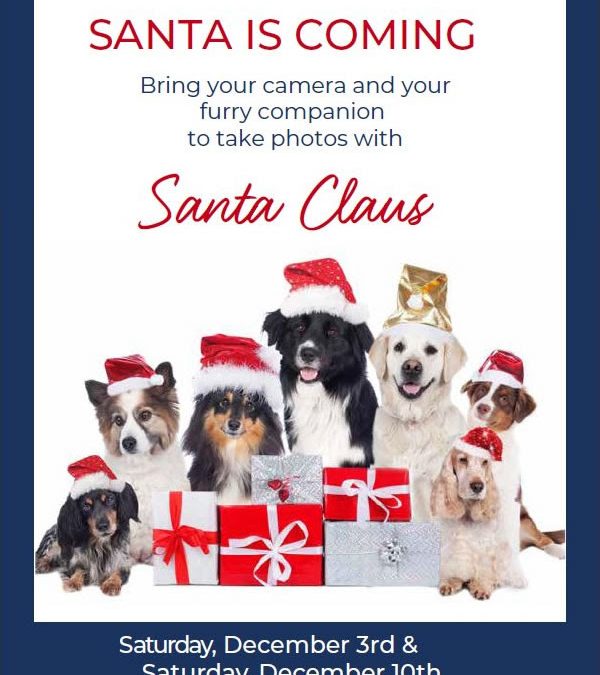 Photo with Santa Paws @ Monarch Bay Plaza