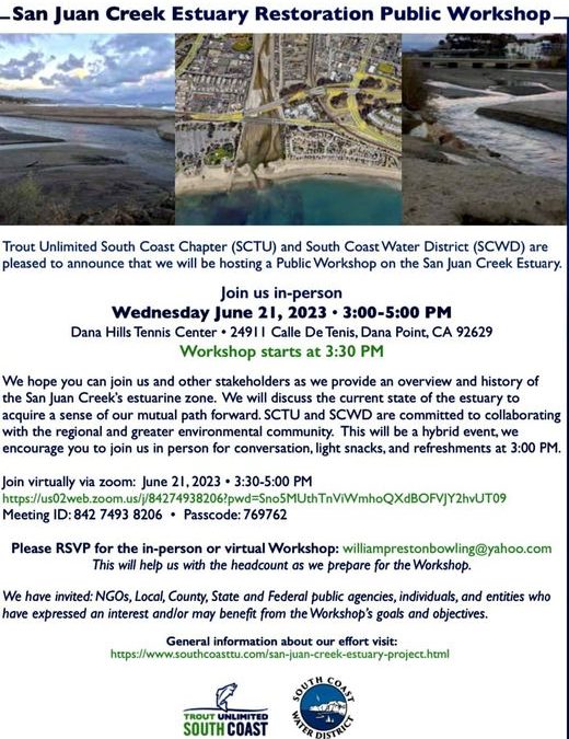 San Juan Creek Estuary Workshop