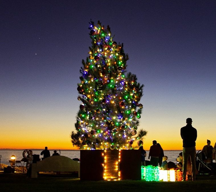 Pines Park Tree Lighting