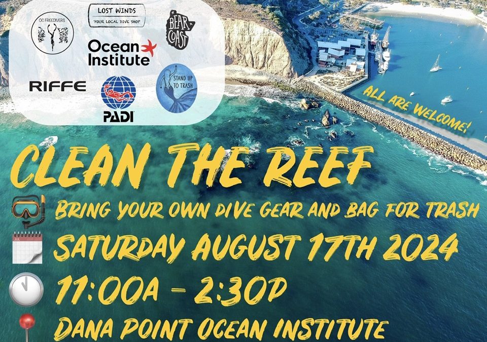 Clean the Reef at Ocean Institute